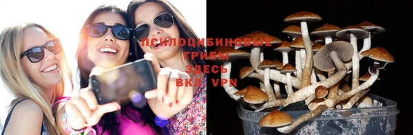 таблы Протвино