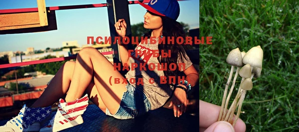 таблы Протвино