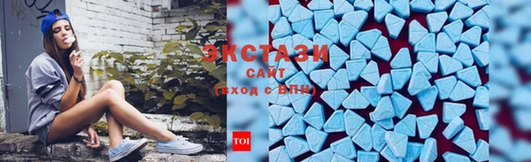 индика Дедовск
