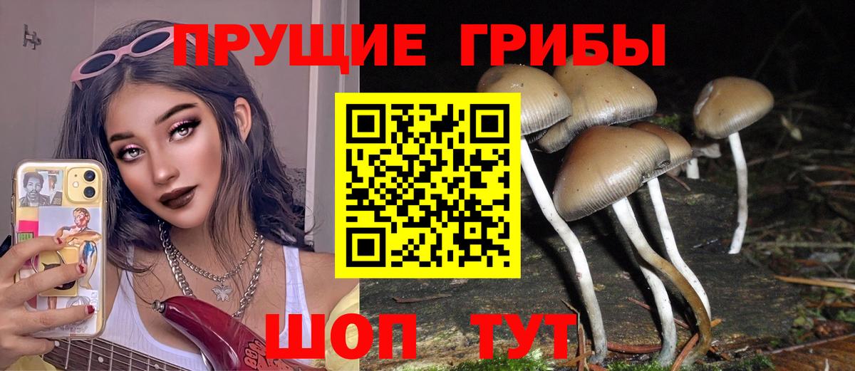 Галлюциногенные грибы ЛСД  Вход с VPN  Солнечногорск 
