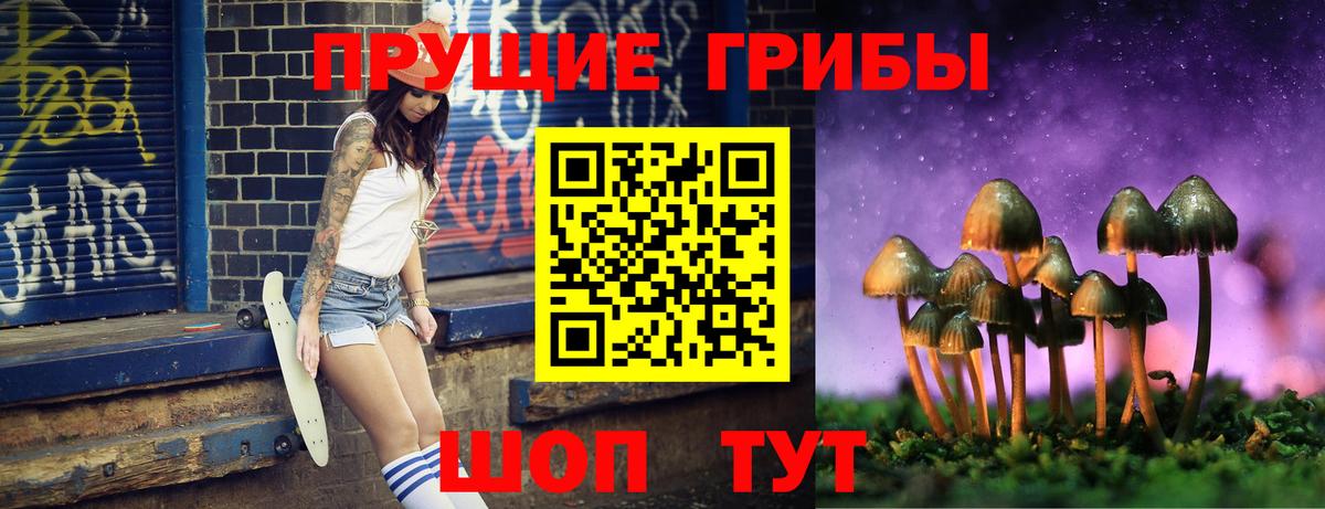 Галлюциногенные грибы Psilocybine cubensis  Солнечногорск 